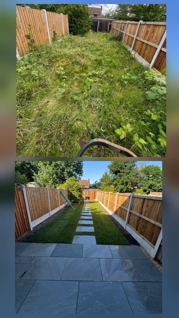 All Aspects of Landscaping — Tree Volution